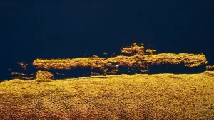 Read more about the article SM UB-78: The U-Boat Folkestone Kept