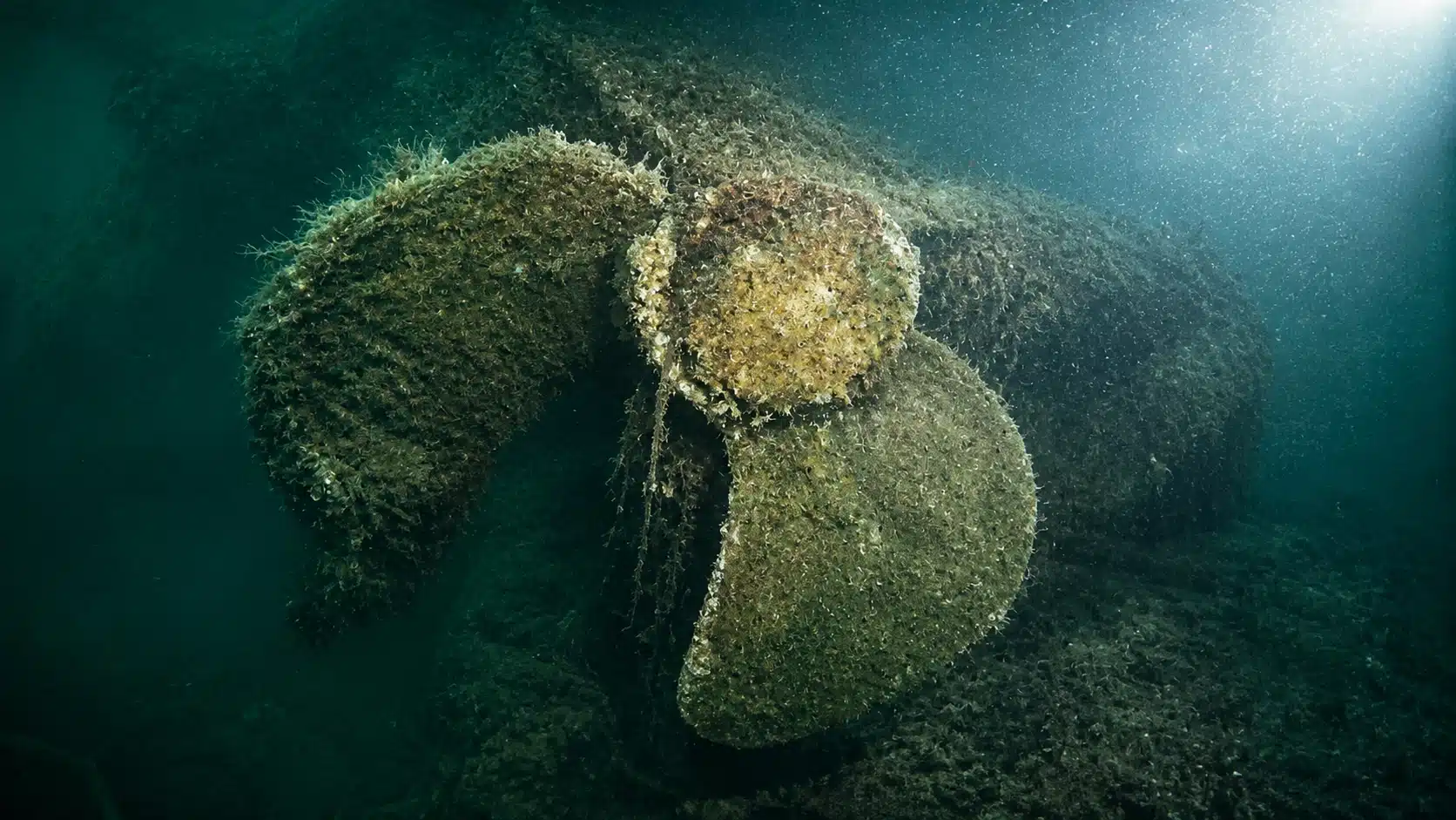 U-Boat SM UB-55