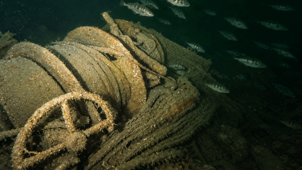 You are currently viewing Z.592 Hosanna: Helping Solve a 46-Year Maritime Mystery