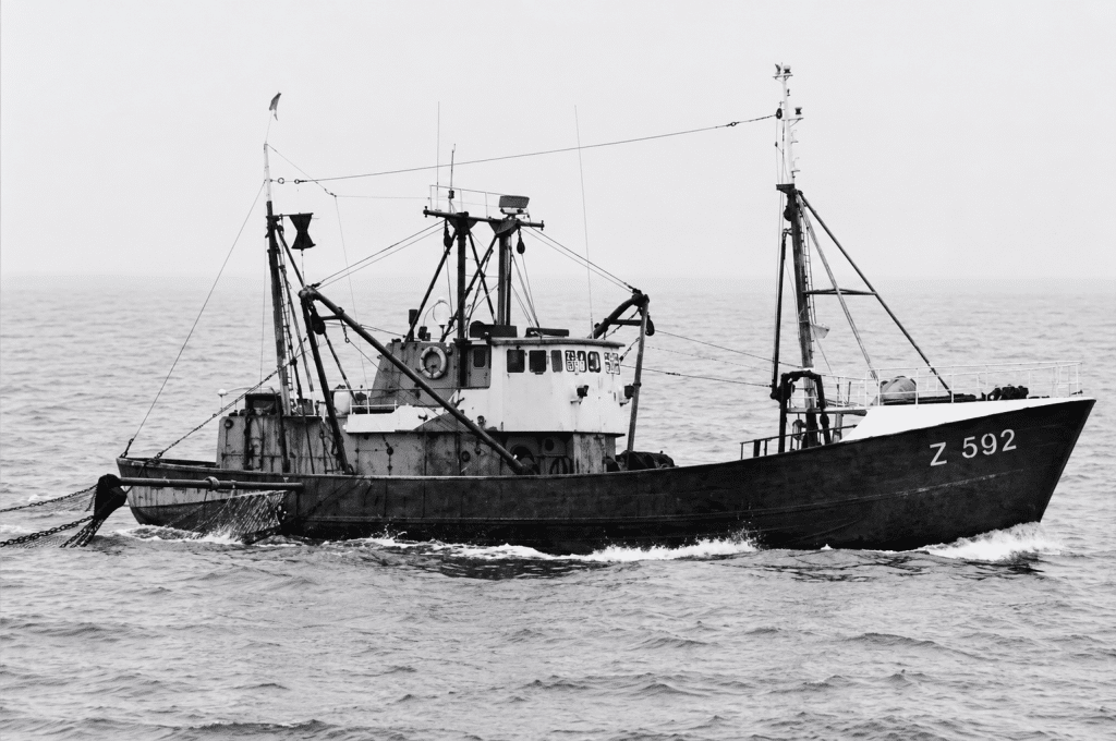 Z592 Hosanna At Sea